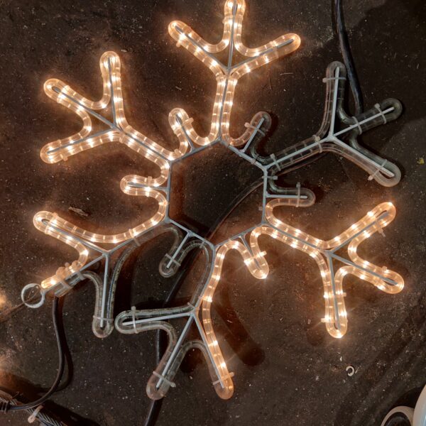 IMG_20250204_082429 IMG_20250204_082429